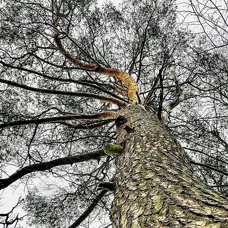 16 In 度假居 基希海姆