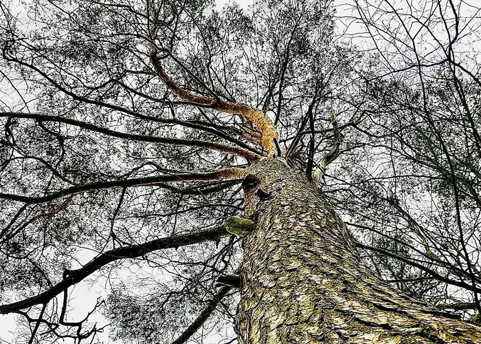 16 In Semesterbostad Kirchheim (Hessen)